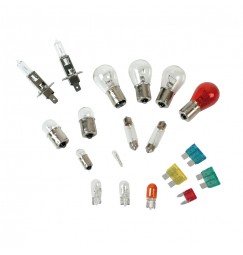 Kit lampade di ricambio 19 pz, alogena 2x H1 - 12V