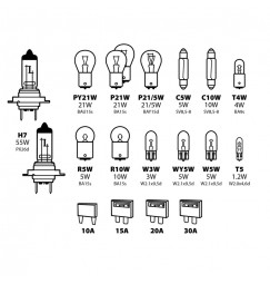 Kit lampade di ricambio 19 pz, alogena 2x H7 - 12V