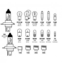 Kit lampade di ricambio 19 pz, alogena 2x H4 - 12V