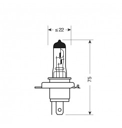 12V Lampada alogena Xenon - H4 - 60/55W - P43t - 2 pz  - Scatola Plast.