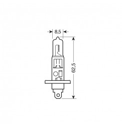 12V Lampada alogena Blu-Xe - H1 - 55W - P14,5s - 2 pz  - Scatola Plast.