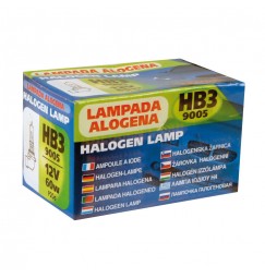 12V Lampada alogena - HB3 9005 - 60W - P20d - 1 pz  - Scatola