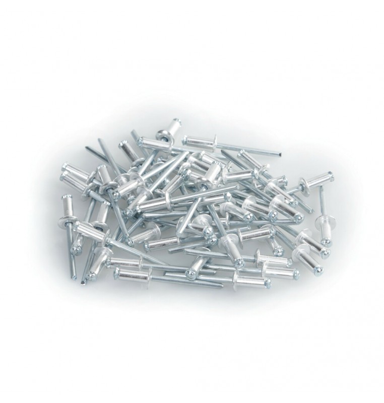 Aluminium Rivets, set 50 rivetti Graf per portatarga - Argento