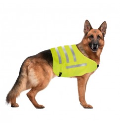 Dog Safety vest, veste riflettente ad alta visibilità - L