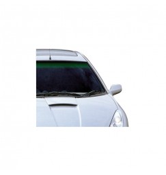 Top Line Standard, fascia parasole per parabrezza - 20x150 cm - Verde