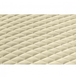 Coppia tappeti in Skeentex - Panna - compatibile per Daf XF 105 (02/04>12/14) automatico, manuale, con Webasto, senza Webasto