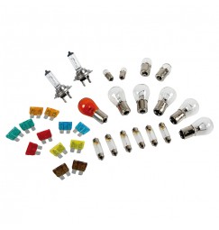 Kit lampade di ricambio 30 pz, alogena 2xH7 - 24V